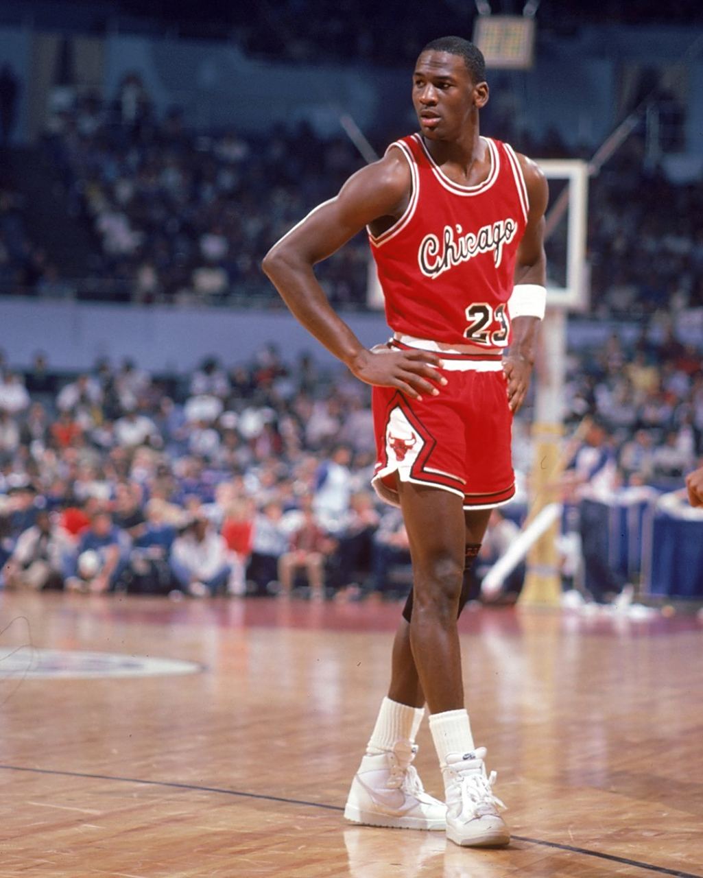 洛佩斯的吸 洛佩斯的吸